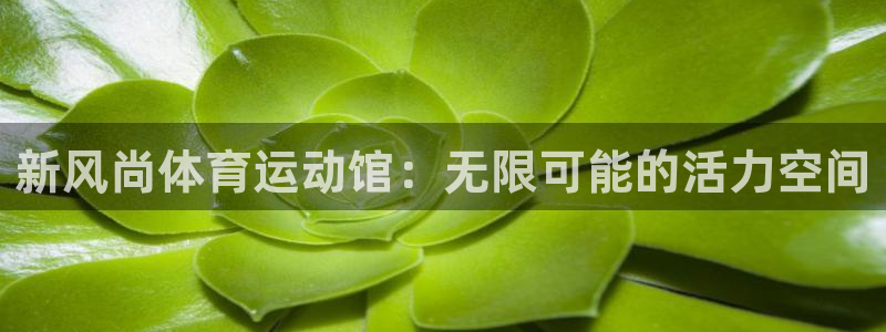 福建意昂2机电股份公司