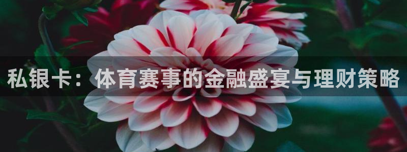 意昂2