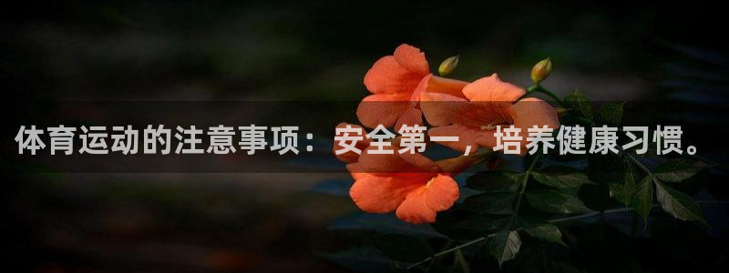 意昂2体育凯捷平台代理