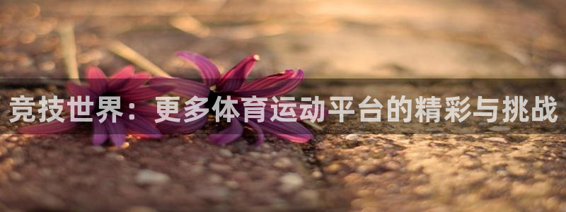 意昂2体育凯捷平台代理