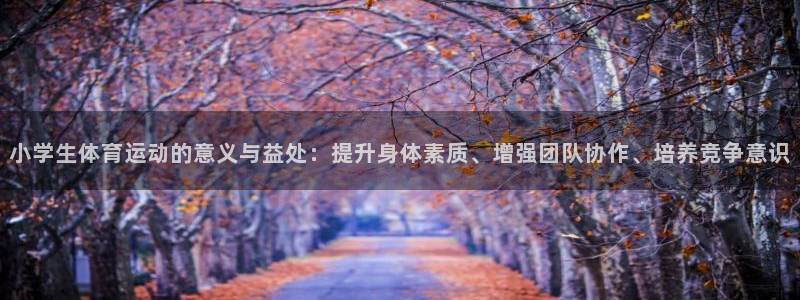 意昂平台招商
