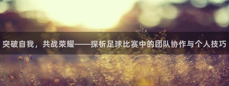 意昂22平台登录