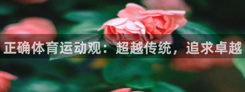 意昂2零能源集团