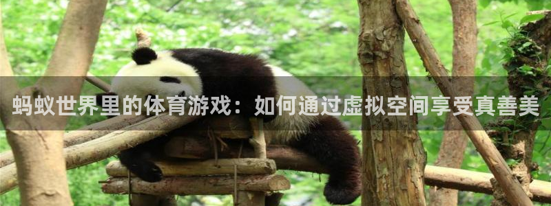 意昂24平台