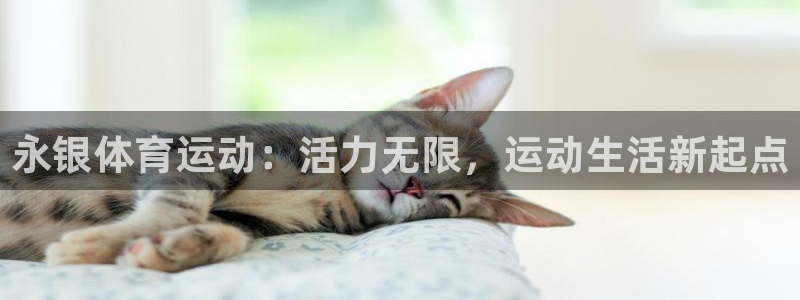 意昂2体育