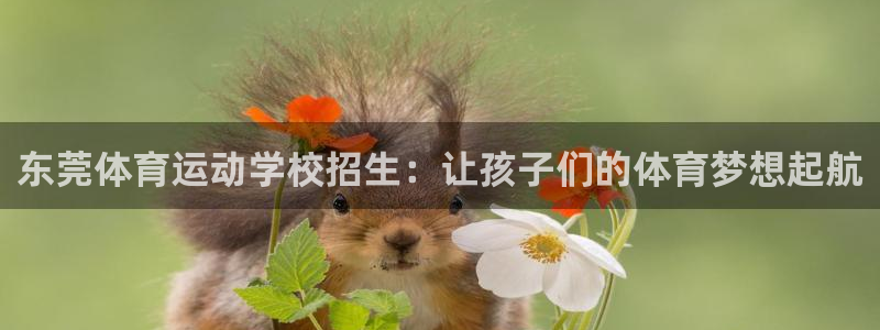 意昂2注册
