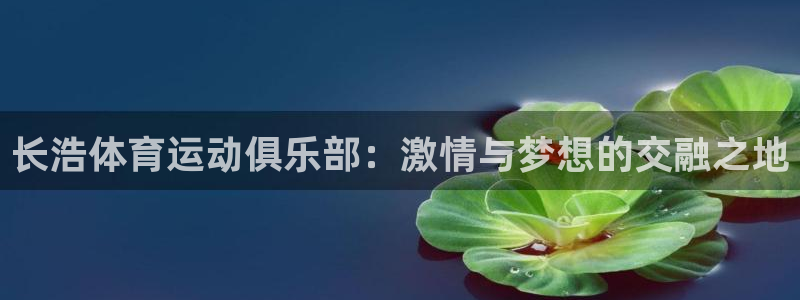 意昂2体育凯捷平台注册