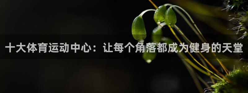 意昂2体育注册登录入口