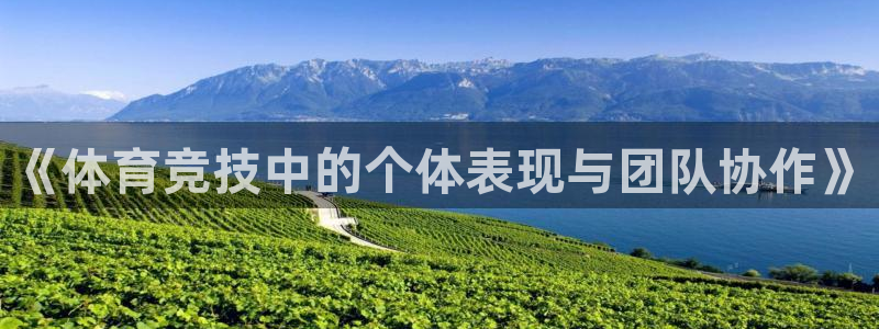 意昂代理注册官网入口