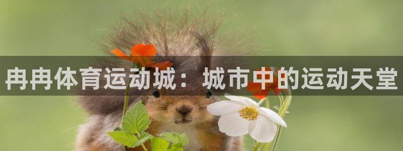 东莞市意昂2电子科技有限公司